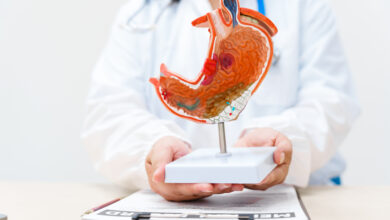 Yaratılış Harikası :Mide