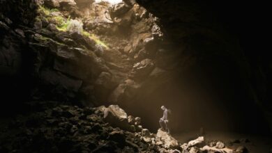 Tuzak, iftira, komplo