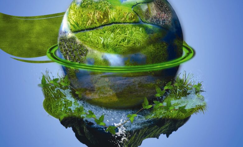 Toprak Dünya Ekosistem