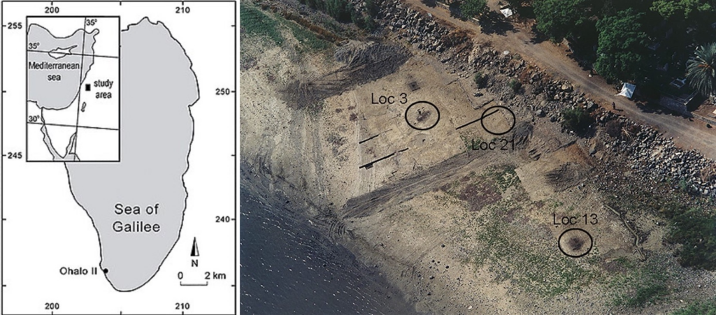 Evrimci Tarih Anlayışını Yıkan Ohalo 2