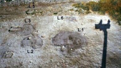 Evrimci Tarih Anlayışını Yıkan Ohalo 2