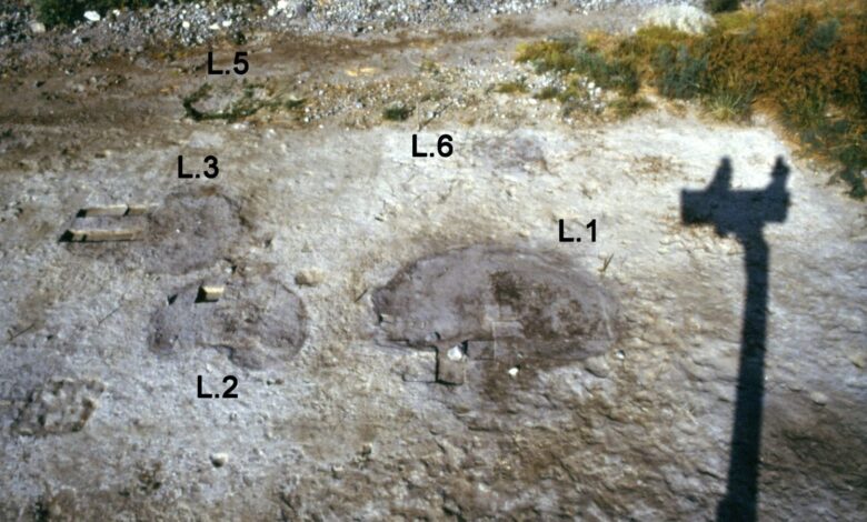 Evrimci Tarih Anlayışını Yıkan Ohalo 2