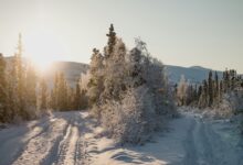 "Nasıl olsa sonra tavrımı düzeltirim" diyerek hatayı sürdürme mantığının tehlikesi
