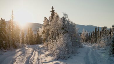 "Nasıl olsa sonra tavrımı düzeltirim" diyerek hatayı sürdürme mantığının tehlikesi