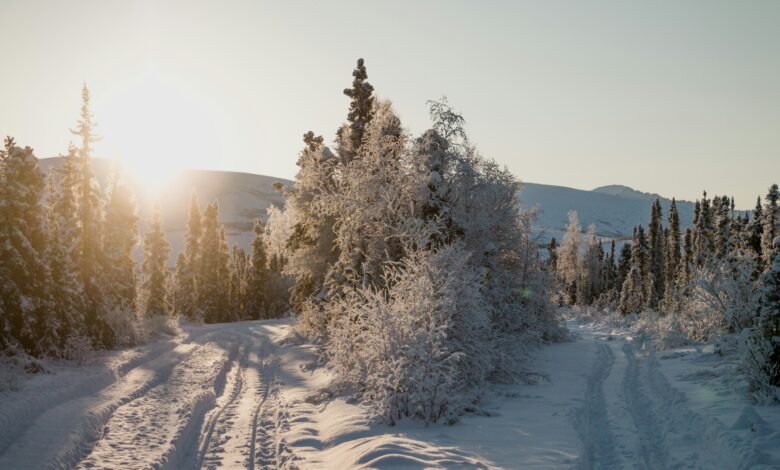 "Nasıl olsa sonra tavrımı düzeltirim" diyerek hatayı sürdürme mantığının tehlikesi