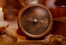 Kuşların Kuantum Pusulası