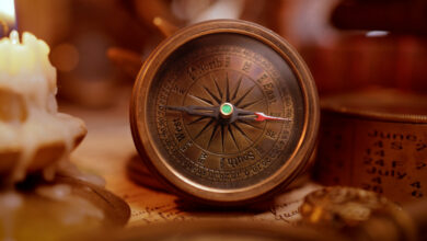 Kuşların Kuantum Pusulası