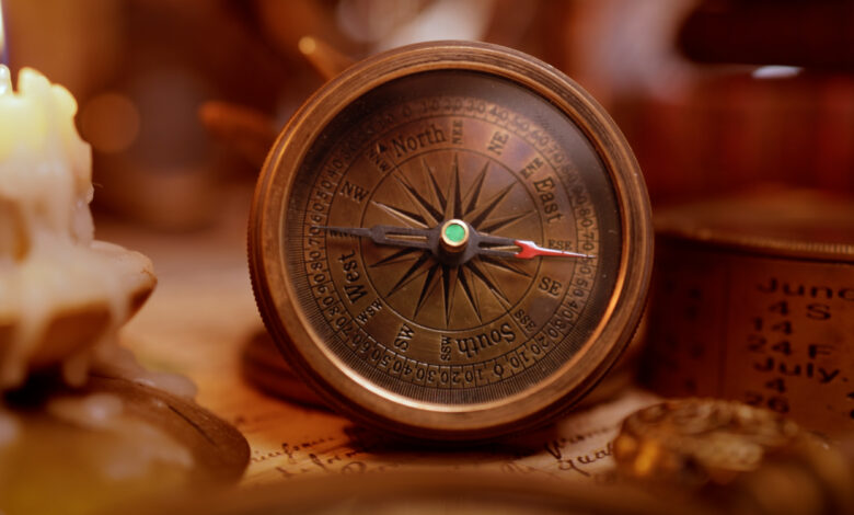 Kuşların Kuantum Pusulası