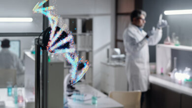 National Geographic'in “Homoseksüellik Genetiktir” Propagandasına Cevap