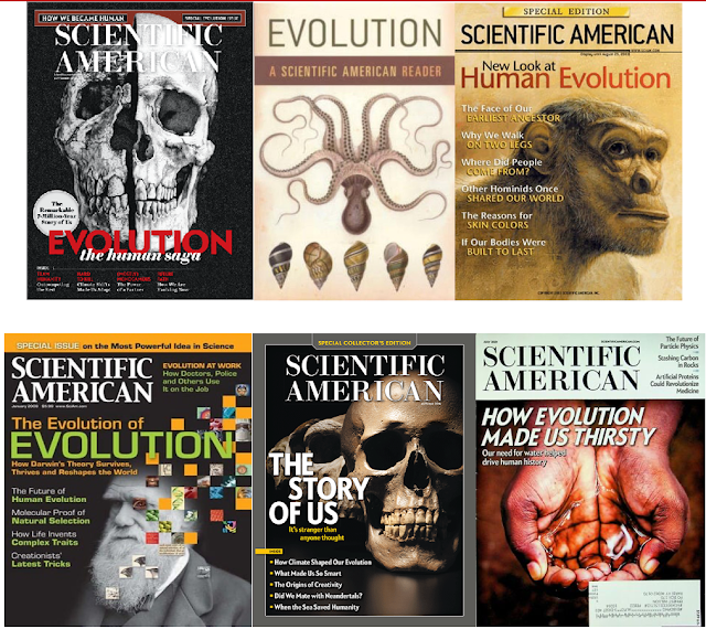 Scientific American