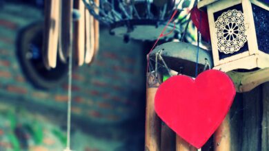 Müminler yalnızca Allah'ın rızası için severler